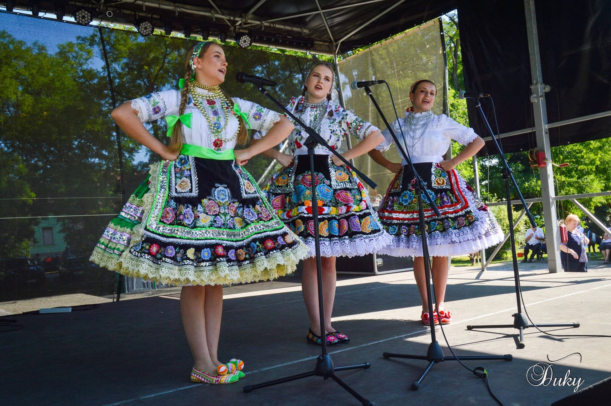 SNS 2019 (autor fotografie: Juraj Berédi Ďuky)